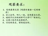 教科版 三年级上科学-3.1我们周围的材料 课件（21张PPT）