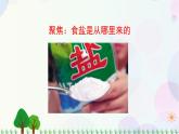 三年级上册科学-1.7 混合与分离（课件+教学设计＋任务单＋课后练习）教科版