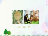 三年級(jí)上冊(cè)科學(xué)-2.7 風(fēng)的成因（課件+教學(xué)設(shè)計(jì)＋任務(wù)單＋課后練習(xí)）教科版