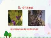 三年級上冊科學(xué)-3.5 觀測風(fēng)（課件+教學(xué)設(shè)計＋任務(wù)單＋課后練習(xí)）教科版