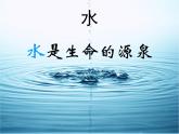 教科版 三年级上科学-4.1《水》课件（15张PPT）