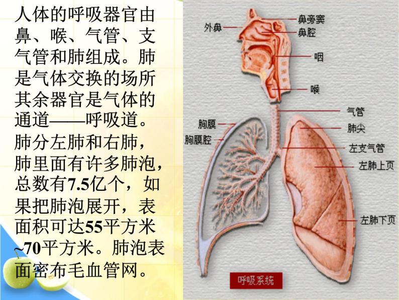 教科版 三年级上科学-4.5《我们周围的空气》_课件（18张PPT）07