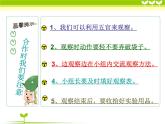 教科版 三年级上科学-4.1水 课件（10张PPT）