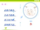 教科版 三年级上科学-4.1水 课件（10张PPT）