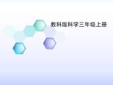 教科版 三年级上科学-4.1水 课件（28张PPT）