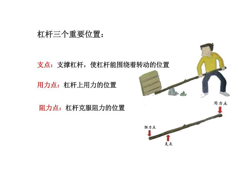 教科版 科学六年级上册 1.2《杠杆的科学》课件（10张PPT）第4页