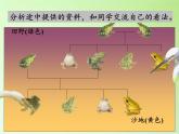 教科版科学六年级上册 4.7谁选择了它们 课件（30张PPT）