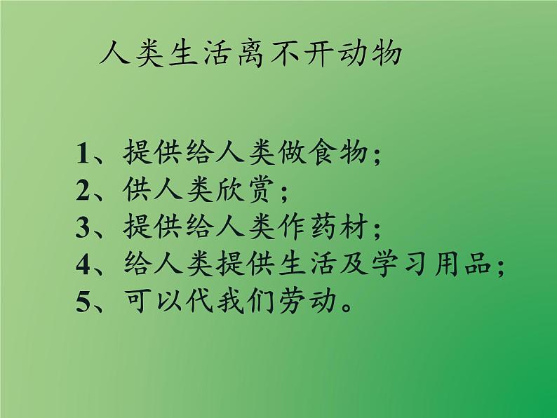 教科版 科学六年级上册 4.8生物多样性的意义 课件（23张PPT）第7页