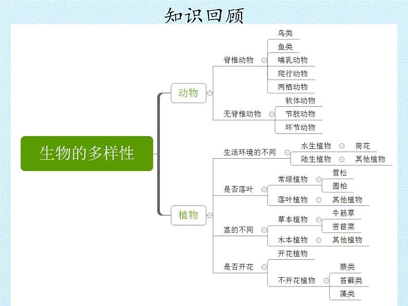 教科版 科学六年级上册 4.8生物的多样性复习 课件（57张PPT）第2页