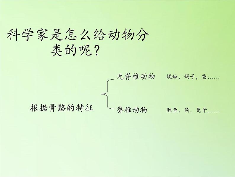 教科版 科学六年级上册 4.4种类繁多的动物 课件（37张PPT）04