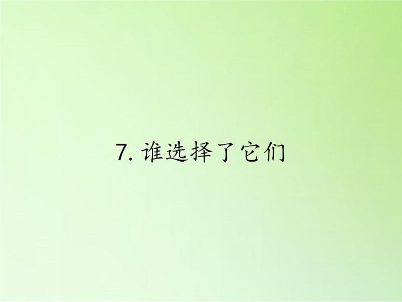 教科版 科学六年级上册 4.7谁选择了它们 课件（37张PPT）第1页