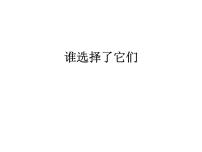 教科版六年级上册7、谁选择了它们课文内容ppt课件