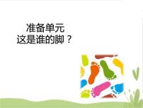 科学二年级上册准备单元 这是谁的脚课堂教学ppt课件