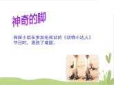 大象版 科學(xué)二上 準(zhǔn)備單元 這是誰(shuí)的腳 課件（10張PPT）