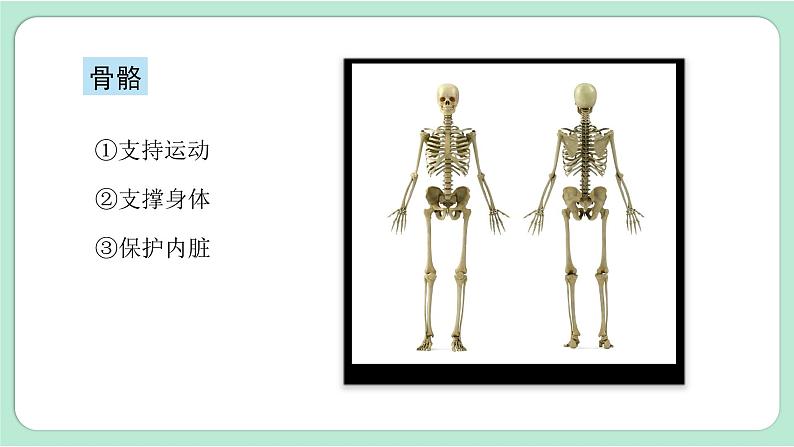 第2课时  身体的运动第5页