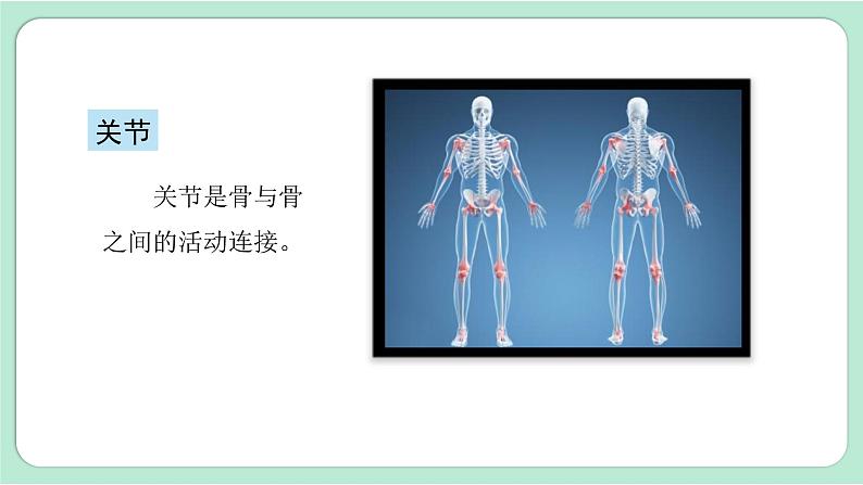 第2课时  身体的运动第6页