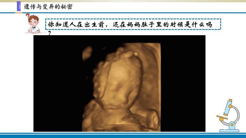 小学科学苏教版六年级上册第二单元第7课《寻找遗传与变异的秘密》课件(2021新版）05