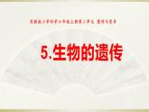 小学科学苏教版六年级上册第二单元第5课《生物的遗传》课件(2021新版）