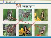小学科学苏教版六年级上册第二单元第5课《生物的遗传》课件(2021新版）