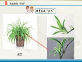 小学科学苏教版六年级上册第二单元第5课《生物的遗传》课件(2021新版）
