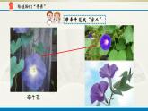 小学科学苏教版六年级上册第二单元第5课《生物的遗传》课件(2021新版）