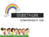 《它们发生了什么变化》教学课件