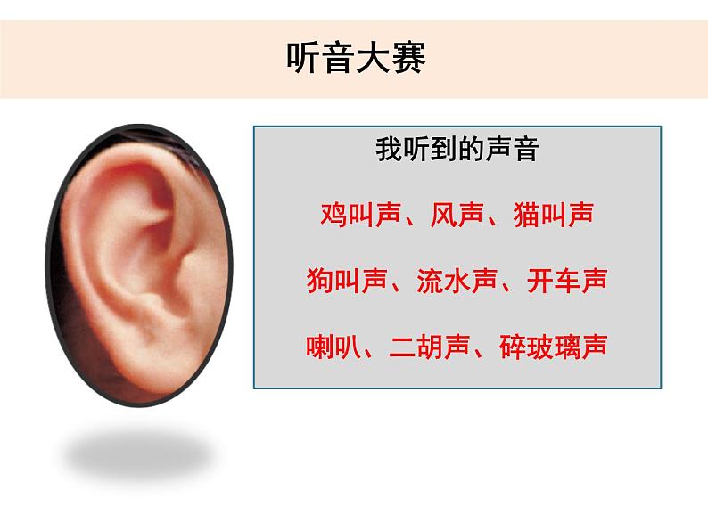 2020新教科版四年级科学上册全册课件PPT04