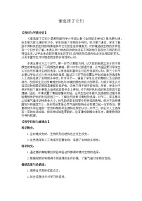 教科版三年级上册1、我看到了什么教学设计