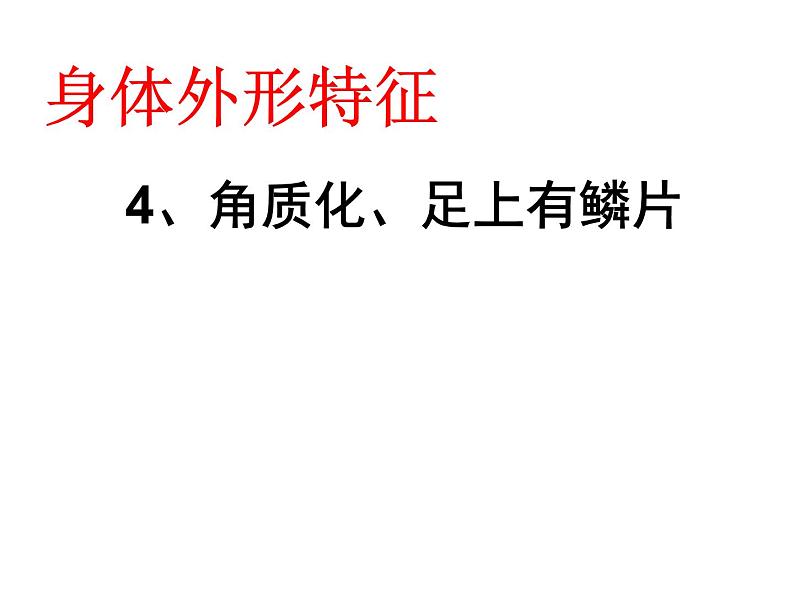 人教鄂教版 科学四年级上册 2动物的分类课件PPT（13张PPT）06