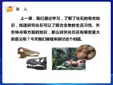新蘇教版科學六年級上冊：10用化石做證據(jù) 課件PPT+教案