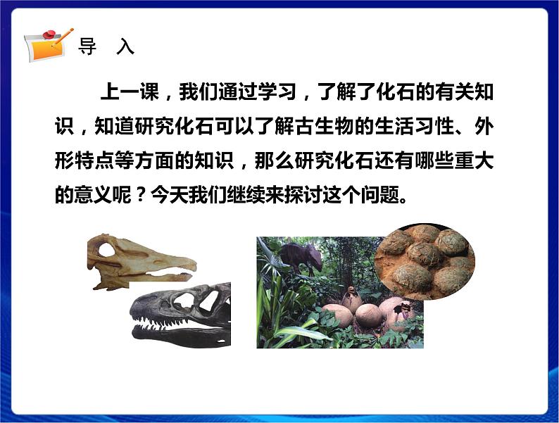 新苏教版科学六年级上册：10用化石做证据 课件PPT+教案02