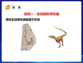新蘇教版科學六年級上冊：10用化石做證據(jù) 課件PPT+教案