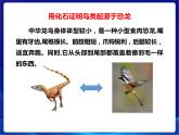 新蘇教版科學六年級上冊：10用化石做證據(jù) 課件PPT+教案