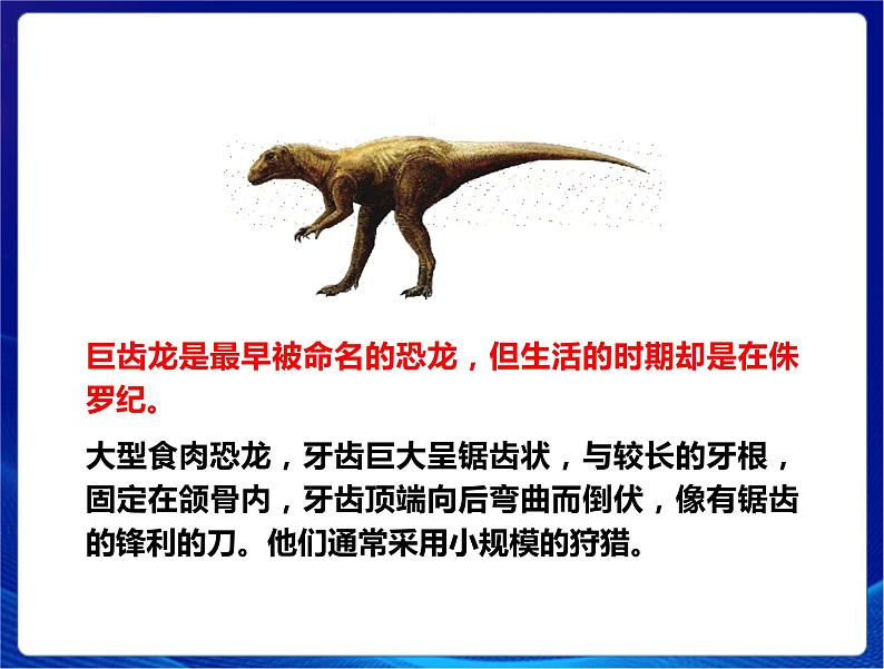 新苏教版科学六年级上册：8消失的恐龙 课件PPT+教案08