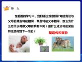 新苏教版科学六年级上册：7寻找遗传与变异的秘密 课件PPT+教案