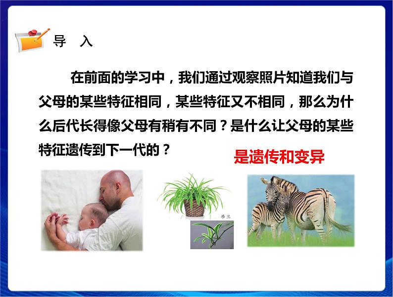 新苏教版科学六年级上册：7寻找遗传与变异的秘密 课件PPT+教案02