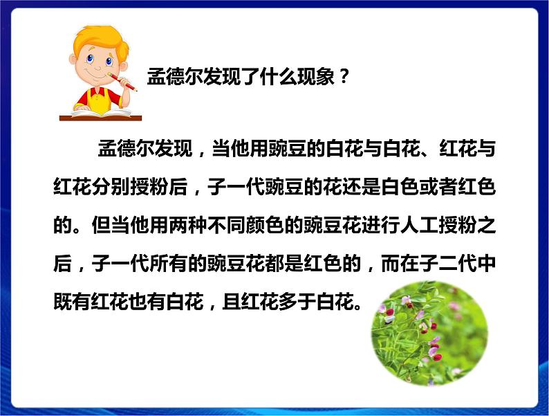 新苏教版科学六年级上册：7寻找遗传与变异的秘密 课件PPT+教案04