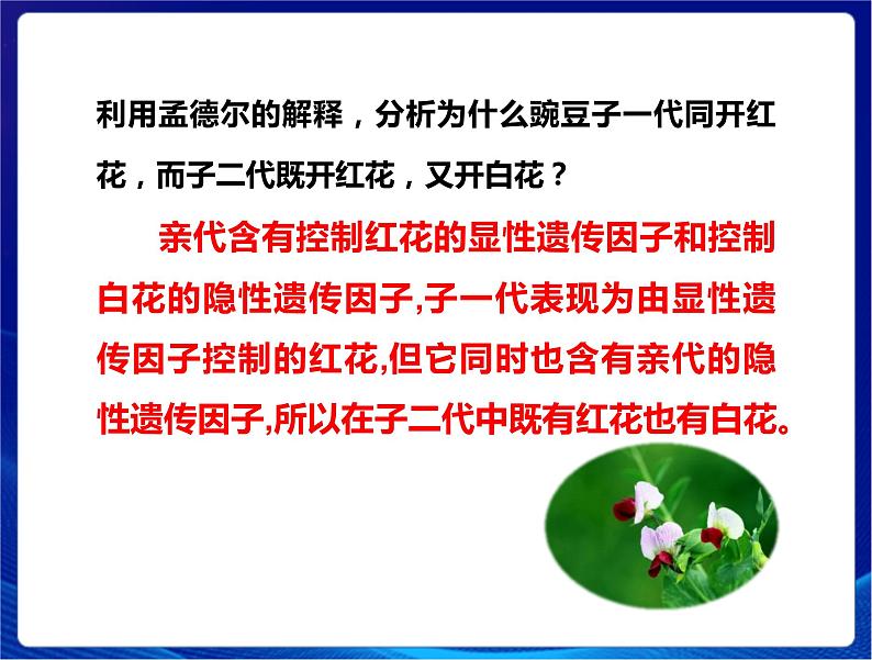 新苏教版科学六年级上册：7寻找遗传与变异的秘密 课件PPT+教案06