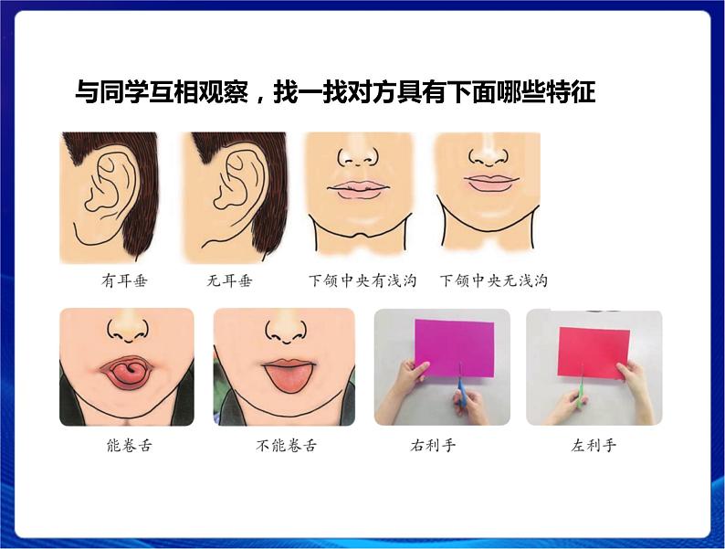 2021年新苏教版科学六年级上册：5生物的遗传 课件PPT第8页