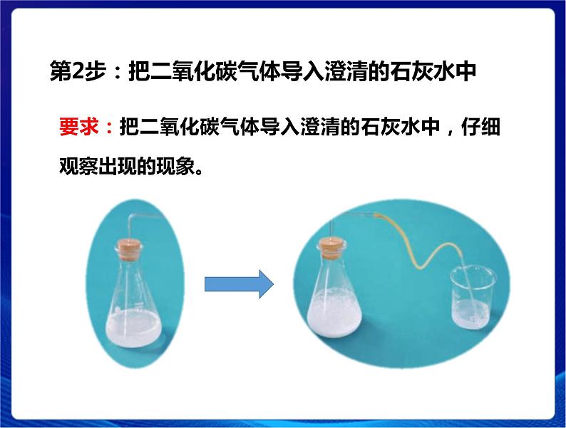 新苏教版科学六年级上册：4化学家的研究 课件PPT+教案05