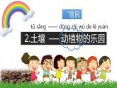 土壤——动植物的乐园PPT课件免费下载