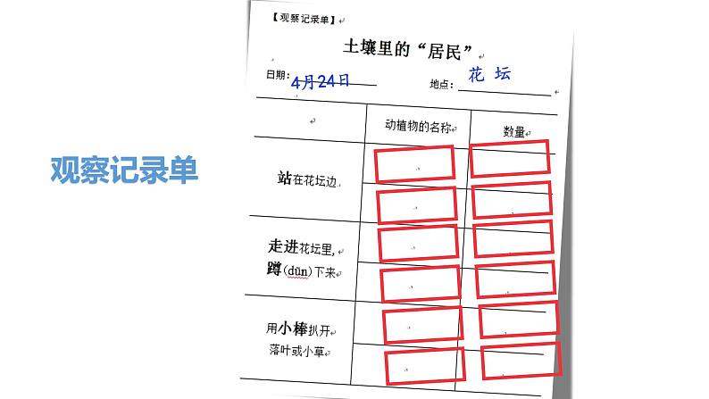 土壤——动植物的乐园PPT课件免费下载07