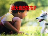 教科版（2017） 二年级上册科学-1.7做大自然的孩子课件（21张PPT）