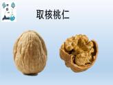 小學科學教科版六年級上冊 3.1《緊密聯(lián)系的工具和技術》課件（13張PPT）