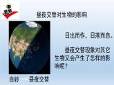 小学科学教科版六年级上册  2.7《昼夜和四季变化对生物的影响》课件（15张PPT）