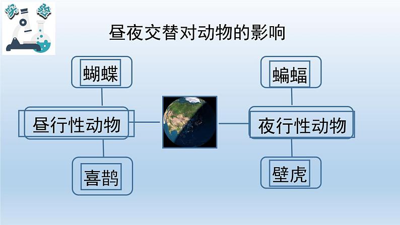 小学科学教科版六年级上册  2.7《昼夜和四季变化对生物的影响》课件（15张PPT）04