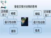 小学科学教科版六年级上册  2.7《昼夜和四季变化对生物的影响》课件（15张PPT）