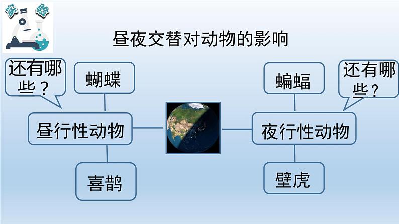 小学科学教科版六年级上册  2.7《昼夜和四季变化对生物的影响》课件（15张PPT）05