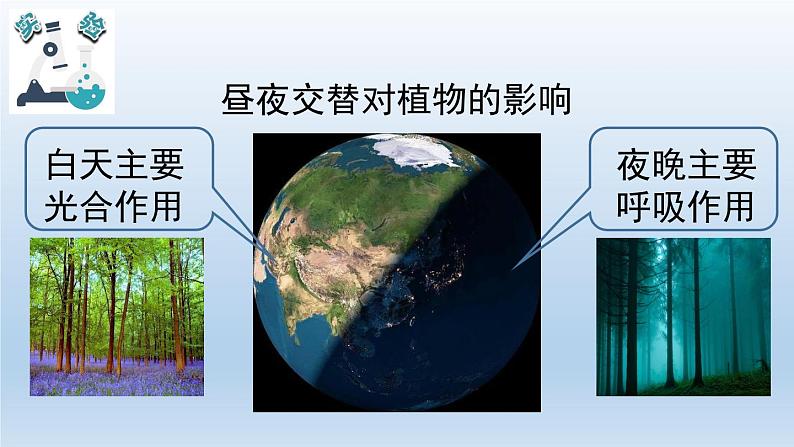 小学科学教科版六年级上册  2.7《昼夜和四季变化对生物的影响》课件（15张PPT）06