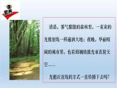 小学科学教科版五年级上册  1.3《光的传播会遇到阻碍吗》课件（11张PPT）